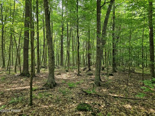 Lot 61 Rock Run Ln, Equinunk, PA, 18417 | Card Image