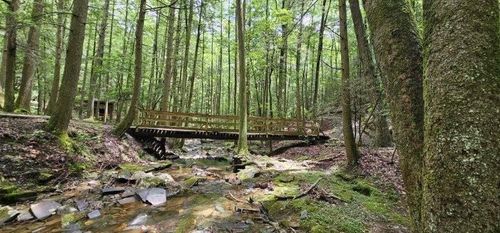 0 Oak Leaf Lane, Dunlap, TN, 37327 | Card Image