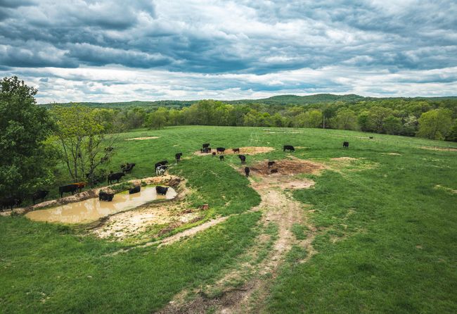 DJI_20250505142009_0059_D | Image 19