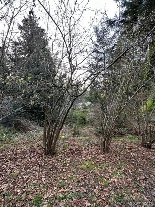 24 Captain Kidds Terr, Home with 0 bedrooms, 0 bathrooms and 1 parking in Nanaimo BC | Image 6