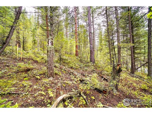 10862 Twin Spruce Rd, Golden, CO, 80403-7318 | Card Image