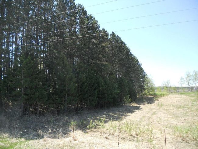 39769 Kestrel Ave, House other with 1 bedrooms, 1 bathrooms and null parking in Tamarack MN | Image 27