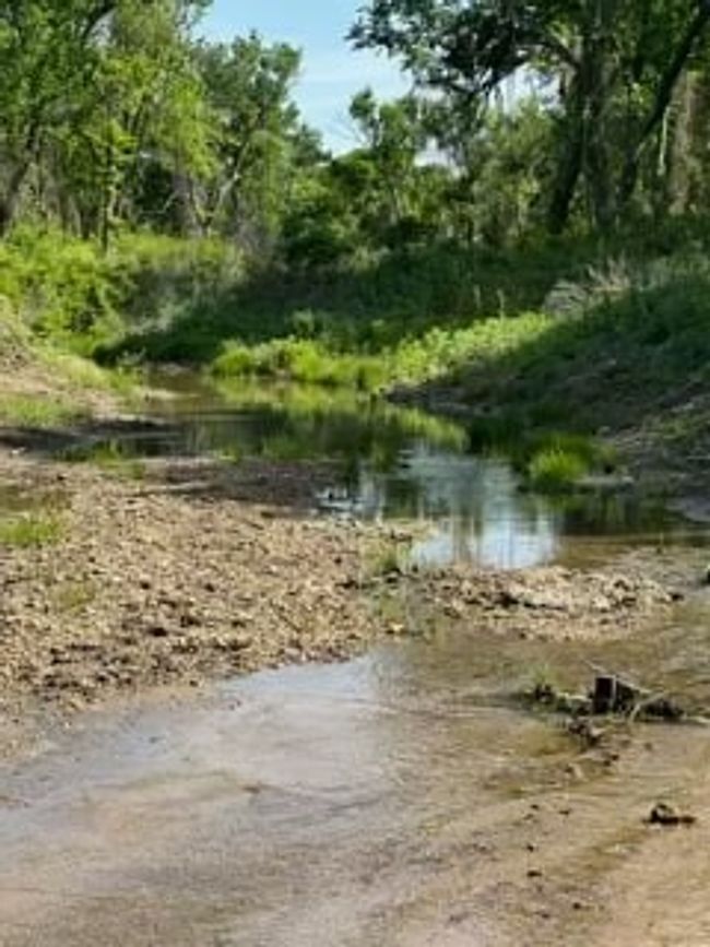 35 Longview Creek Trail, Home with 0 bedrooms, 0 bathrooms and null parking in Itasca TX | Image 5