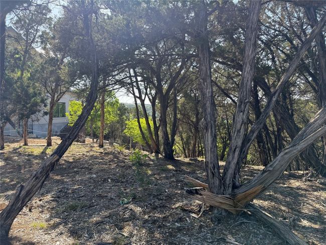 View of yard | Image 8