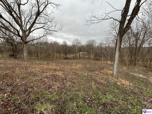 185 Rhodelia Road, Payneville, KY, 40157 | Card Image