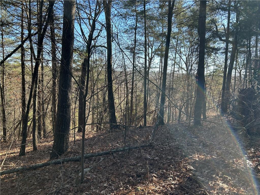 Land in Demorest