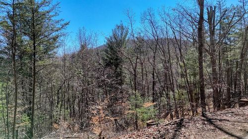 Lot 10 Firefly Ridge Rd, Blairsville, GA, 30512-8616 | Card Image
