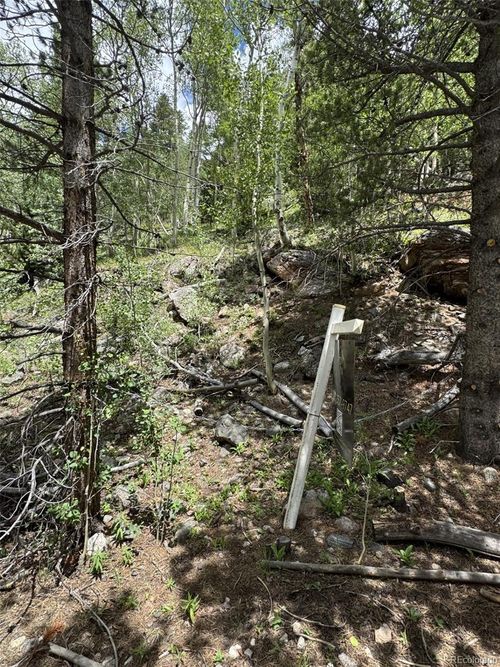 0 Loch Lomond Rd, Idaho Springs, CO, 80452 | Card Image
