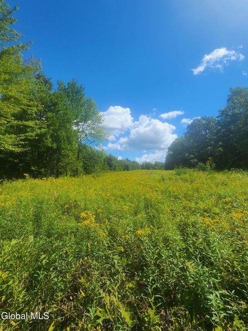 0 Mcmillan Road, Duanesburg, NY, 12137 | Card Image