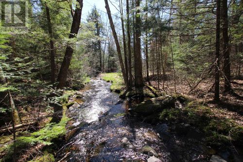 0 534 Hwy Highway, Parry Sound Remote Area (Restoule), ON, P0H2R0 | Card Image