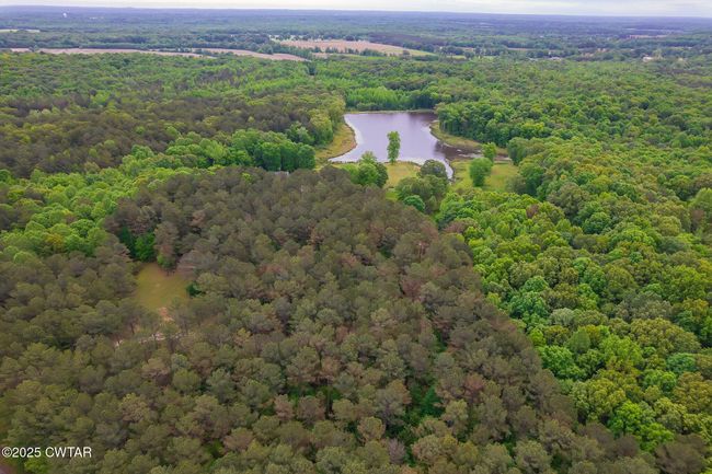 1620 Dry Creek Rd, House other with 3 bedrooms, 3 bathrooms and 10 parking in Pinson TN | Image 36