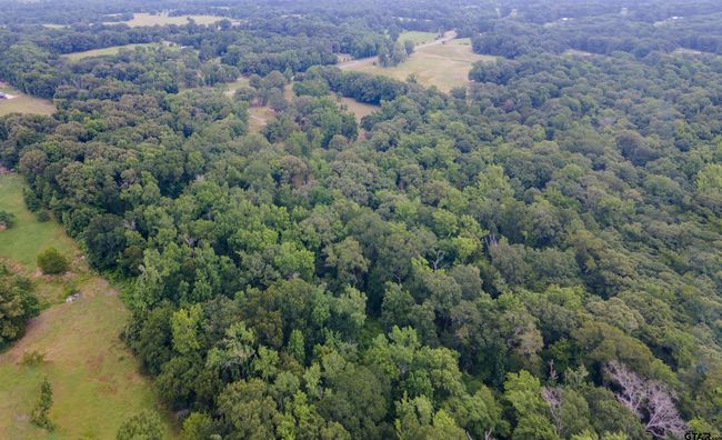 2206 E State Highway 154, Home with 0 bedrooms, 0 bathrooms and null parking in Quitman TX | Image 5