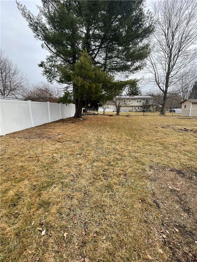 The backyard | Image 17