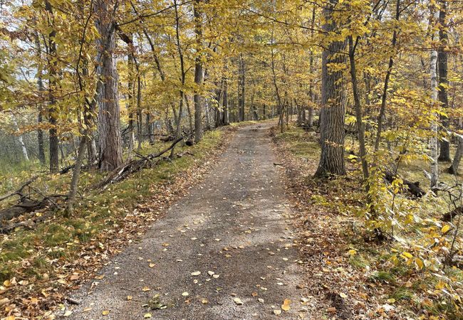 another stunning picture of the private trail system | Image 22