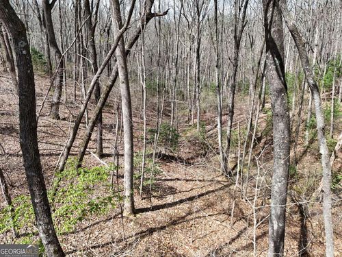 L129/124 Laurel Crossing, Blue Ridge, GA, 30513 | Card Image
