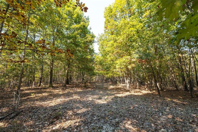 0 Highway B, Home with 0 bedrooms, 0 bathrooms and null parking in Raymondville MO | Image 5