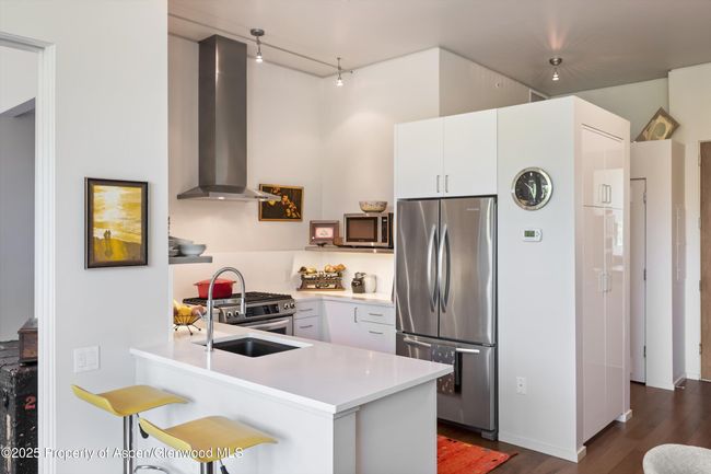 202 - 202 Evans Rd, Condo with 1 bedrooms, 1 bathrooms and 1 parking in Basalt CO | Image 5