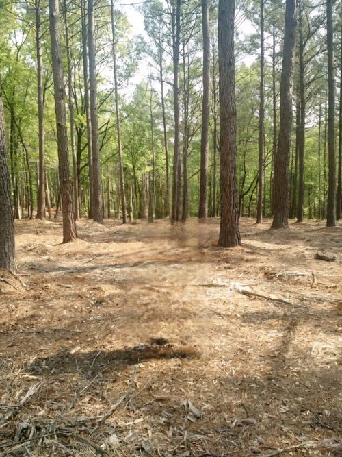 63 Harbor Point Road, Seneca, SC, 29672 | Card Image