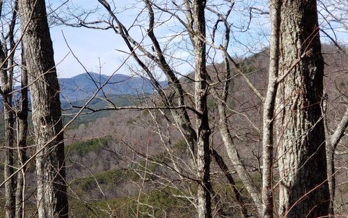 LT 28A Sassafras Ridge Rd, Copperhill, TN, 37317 | Card Image