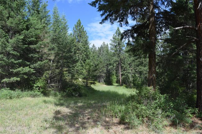 73487 Arlee Pines Dr, Home with 0 bedrooms, 0 bathrooms and null parking in Arlee MT | Image 15