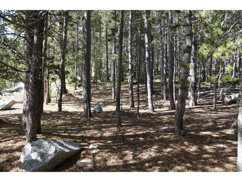 0 Upper Forest Rd, Idaho Springs, CO, 80452 | Card Image