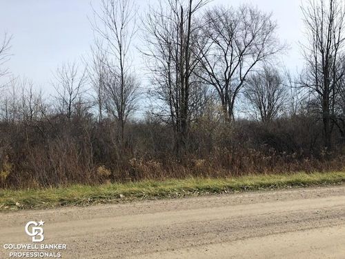 00 Cowhy Rd. Parcel "B" Road, Riley Township, MI, 48041 | Card Image