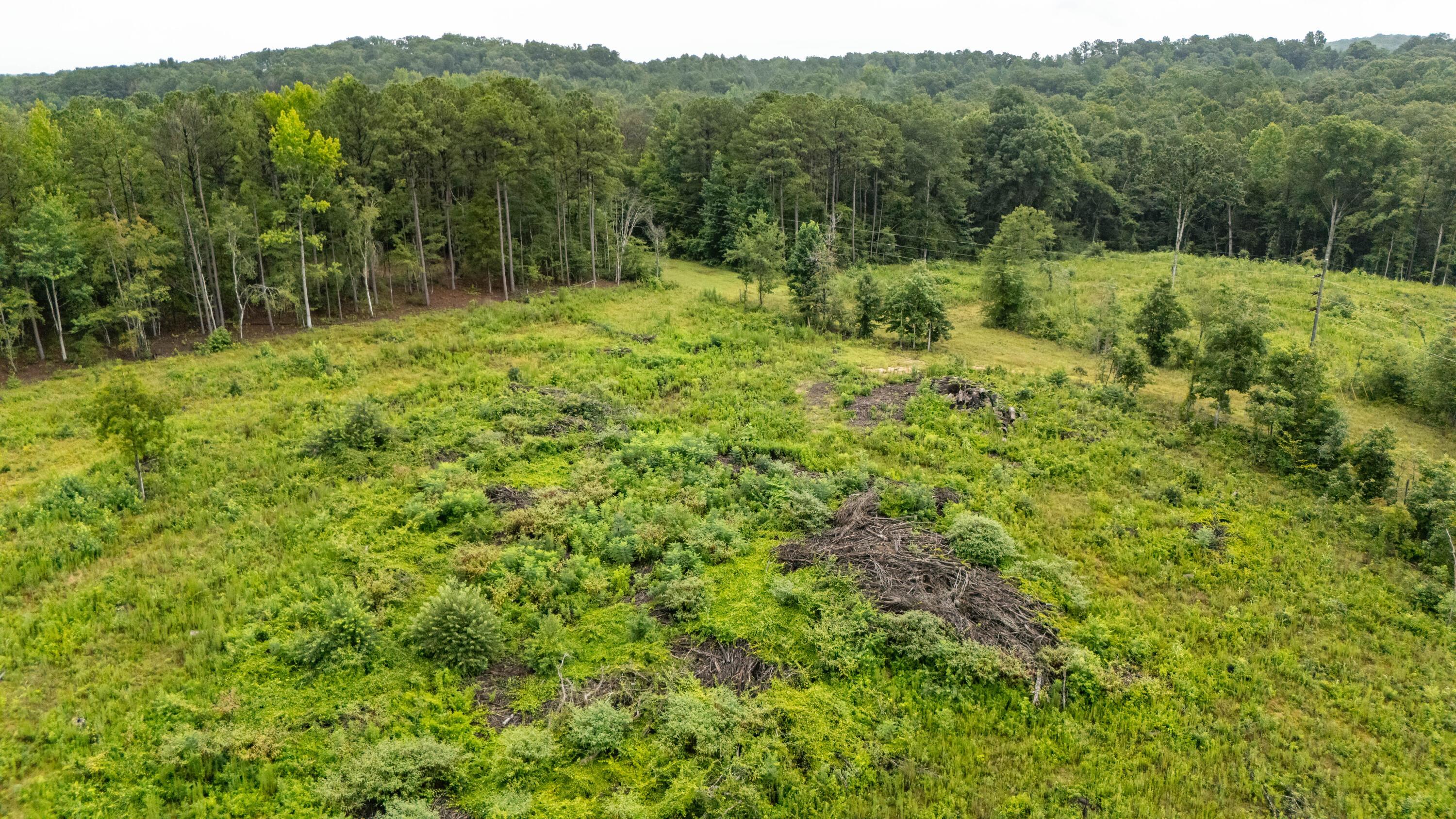 Land in Winfield 3