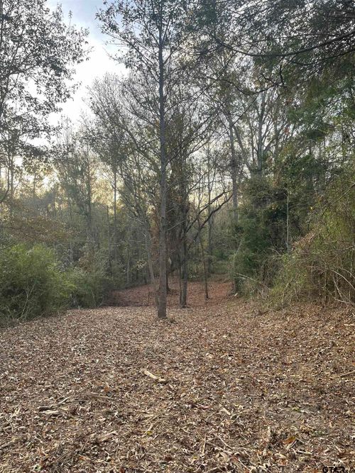 TBD Fm 1804, Mineola, TX, 75773 | Card Image