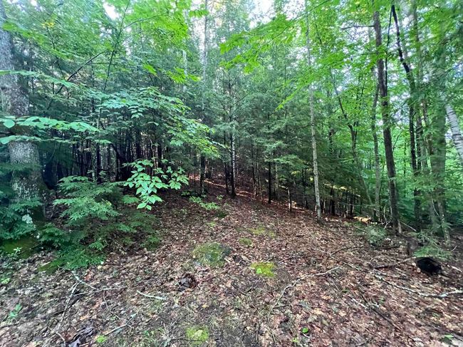 Map 6, Lot 38 Chadwick Hill Road, Home with 0 bedrooms, 0 bathrooms and null parking in Webster NH | Image 6
