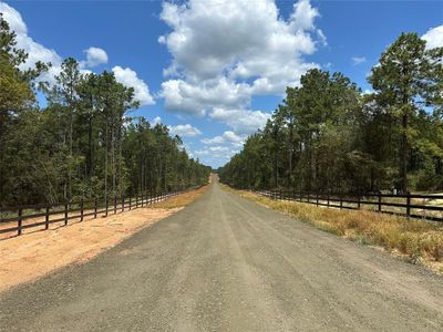 Tract 10 Timberland Branch Drive, Home with 0 bedrooms, 0 bathrooms and null parking in Woodville TX | Image 2