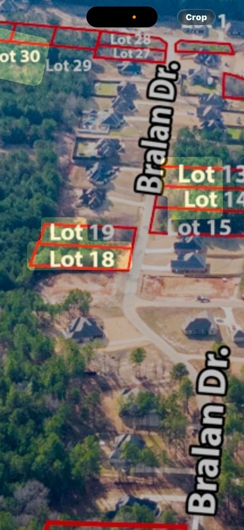 TBD LOT 18 Bralan, Diana, TX, 75640 | Card Image