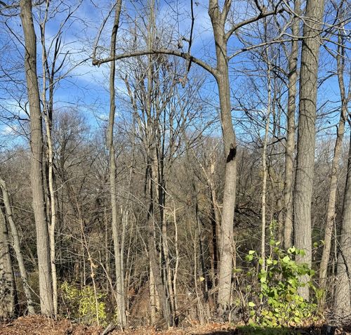 10420 W Pickford Ave, Beach Park, IL, 60099-3777 | Card Image