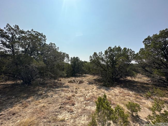 LOT 7 Sendera Valley Drive, Home with 0 bedrooms, 0 bathrooms and null parking in Canyon Lake TX | Image 4