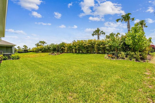 Backyard | Image 39
