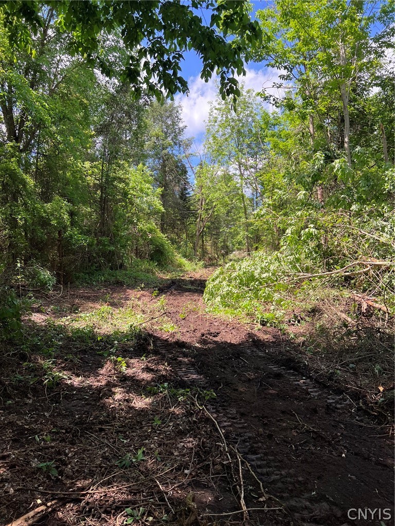 Land in Lafayette 4