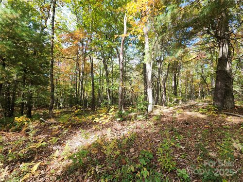 1-999999 N Pointe Dr, Zirconia, NC, 28790 | Card Image