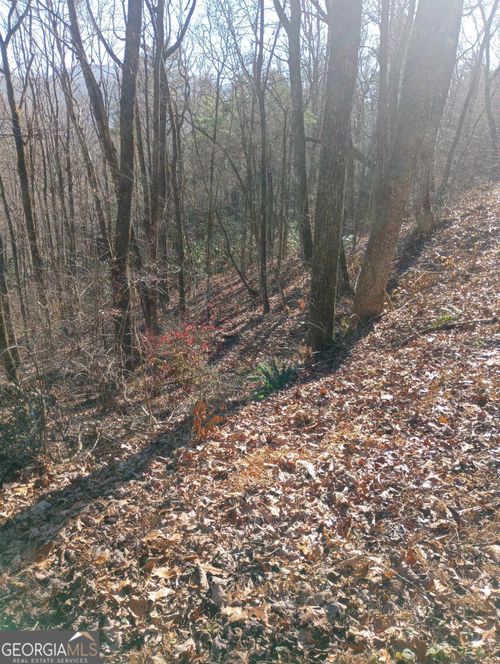 0 LOT 11A E Sugarbush Dr, Dillard, GA, 30537 | Card Image