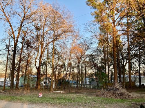 262 E Walnut Trl, Murchison, TX, 75778-4556 | Card Image
