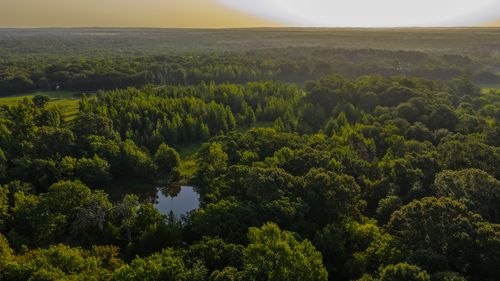 0000 Vz County Road 4912, Ben Wheeler, TX, 75754 | Card Image
