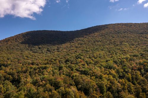 0 Tower Rd, Dorset, VT, 05251 | Card Image