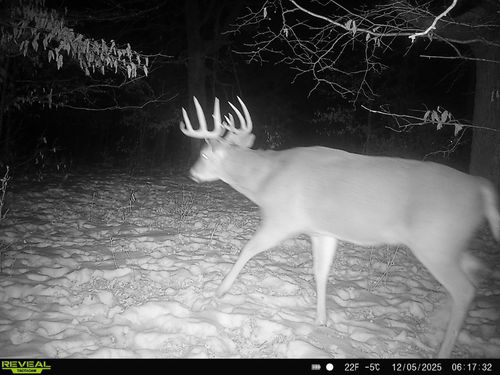 TBD 294th St, Sebeka, MN, 56477 | Card Image