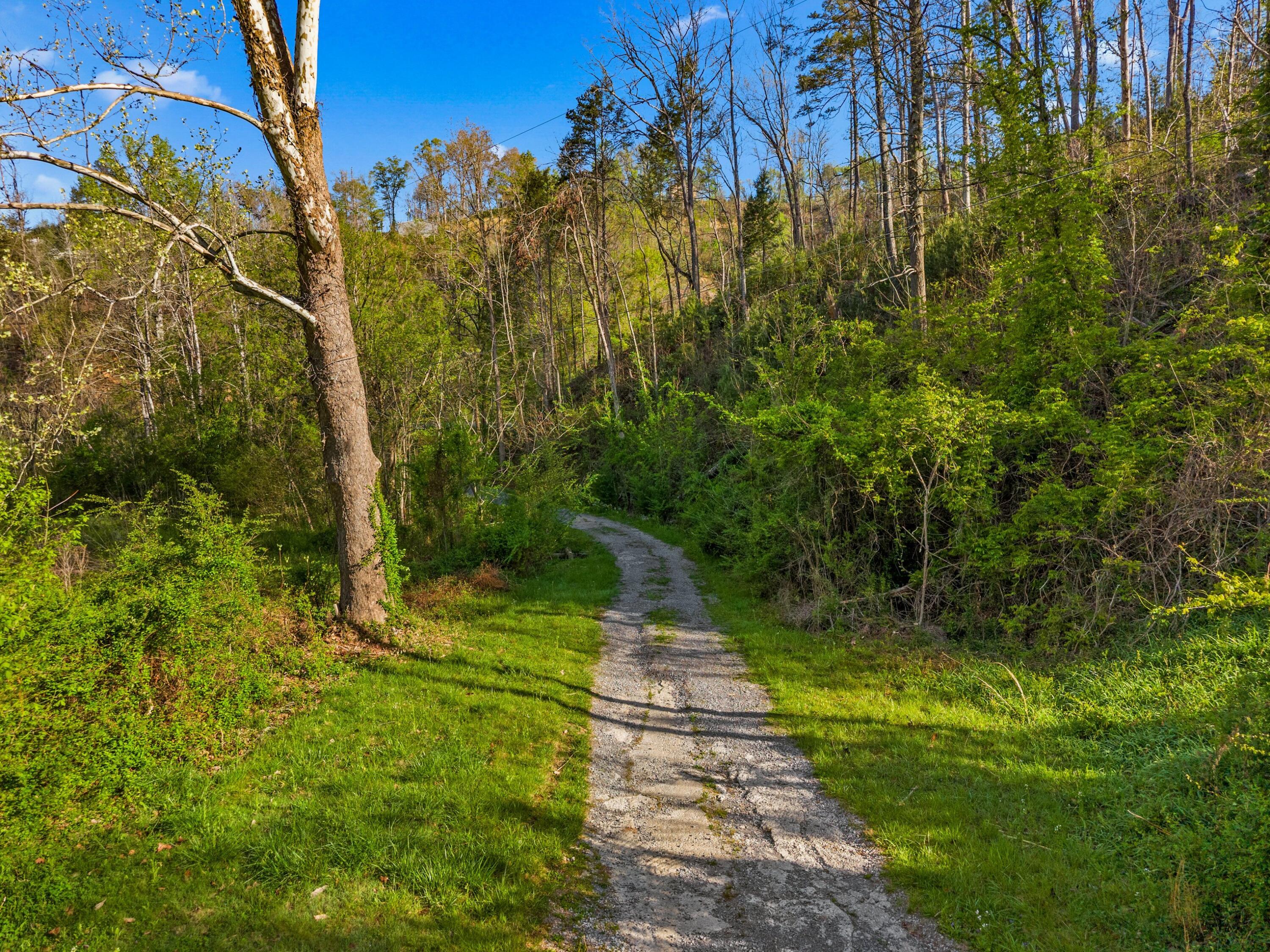 Land in Gatlinburg 2
