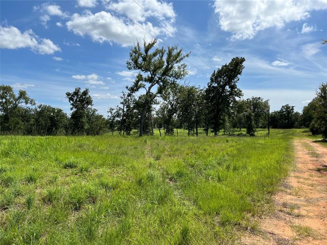 000 Hickory Loop, Home with 0 bedrooms, 0 bathrooms and null parking in Thornton TX | Image 8