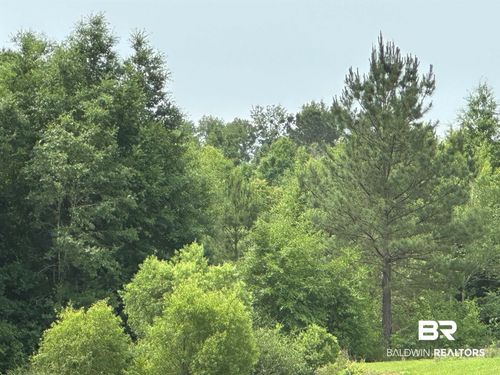 0 County Road 54, Daphne, AL, 36526 | Card Image