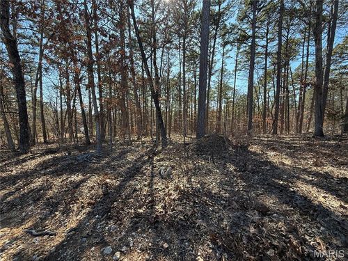 10066 Fish Hook Rd, Potosi, MO, 63664-8901 | Card Image