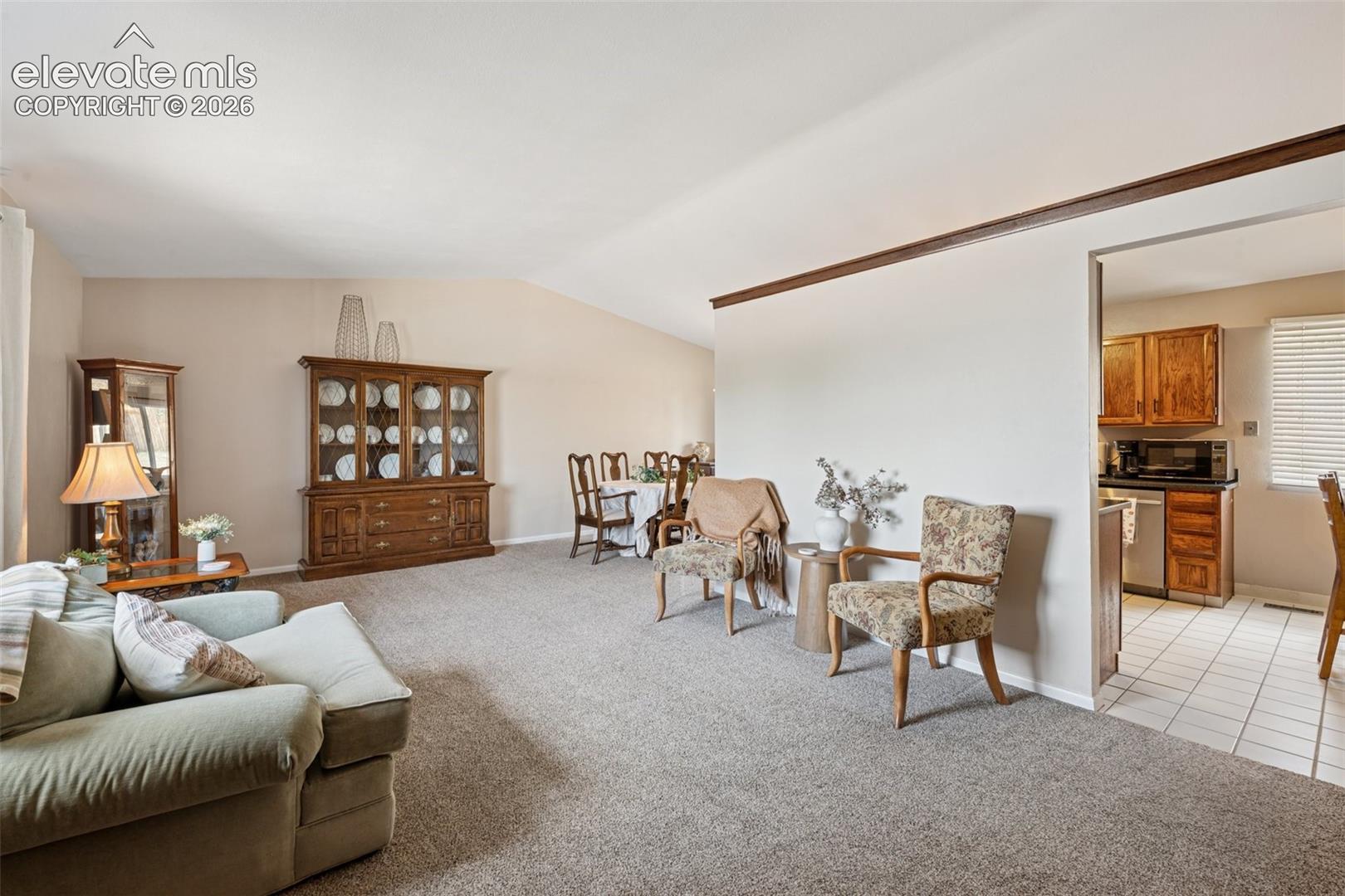 Residential in Colorado Springs 4