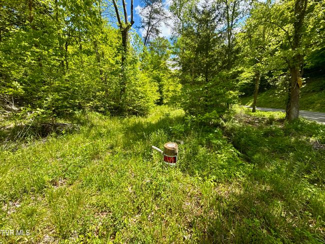47 Tbd Enoch Rd, Home with 0 bedrooms, 0 bathrooms and null parking in Eidson TN | Image 5