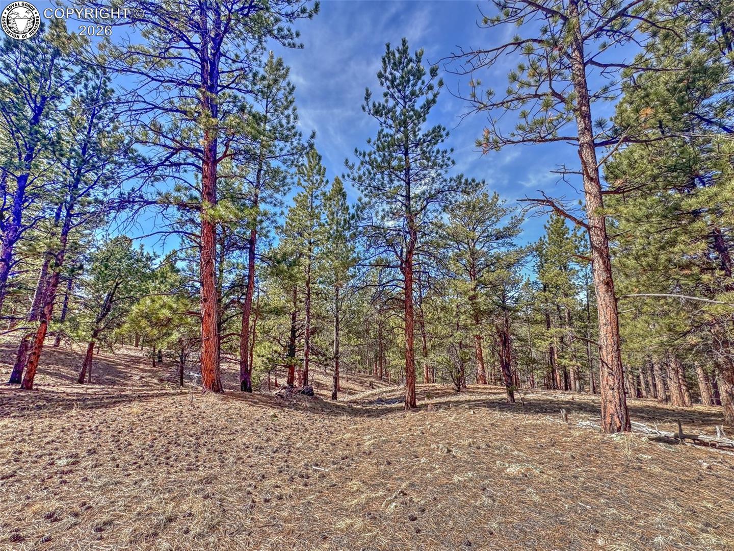 Land in Westcliffe