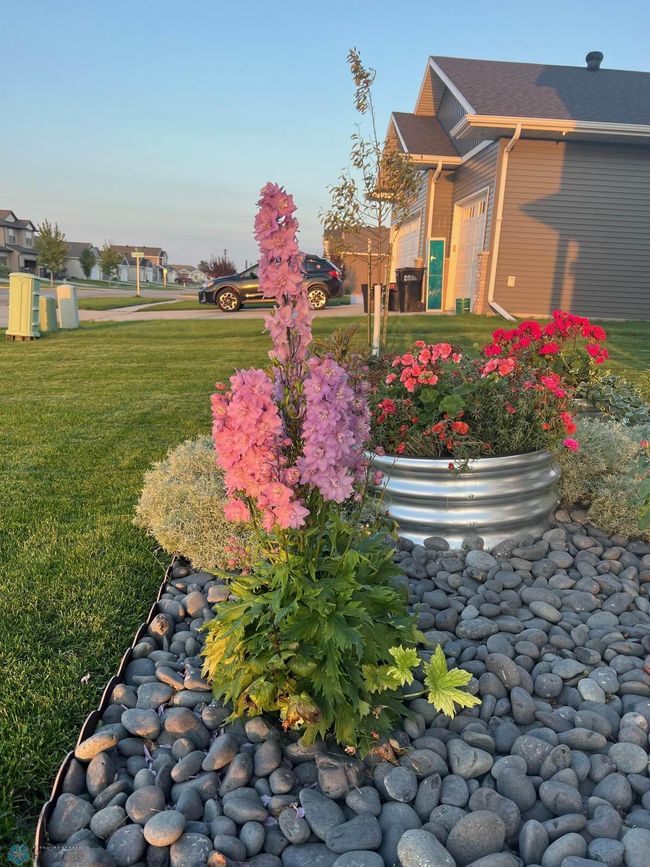 Landscaping | Image 45
