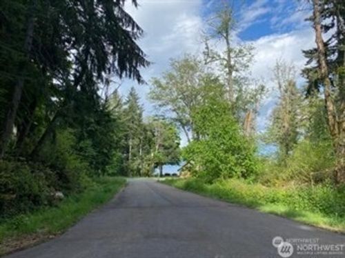 10419 107th Street Ct, Anderson Island, WA, 98303 | Card Image